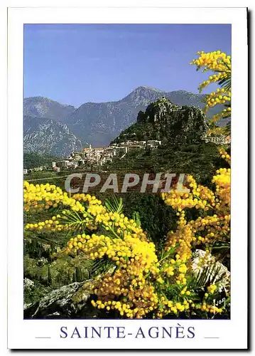 Cartes postales moderne Couleurs et lumiere de France Sainte Agnes Alpes Maritimes Vue generale