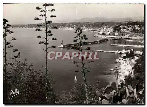 Cartes postales moderne La Cote d'Azur Nice vue generale depuis la rade de Villefranche