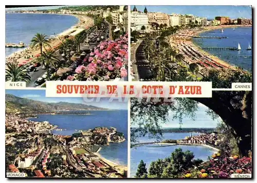 Cartes postales moderne Souvenir de la Cote d'Azur