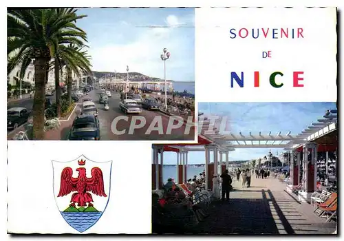 Cartes postales moderne Reflets de la Cote d'Azur Nice A M