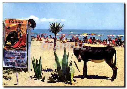 Cartes postales moderne Espana tipica Scene a la Plage