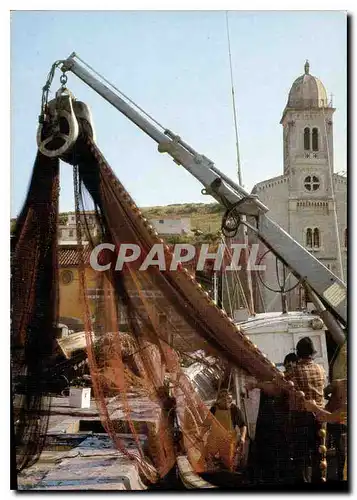 Cartes postales moderne Lumiere et Couleurs de la Cote Vermeille Port Vendres le retour du chalutier