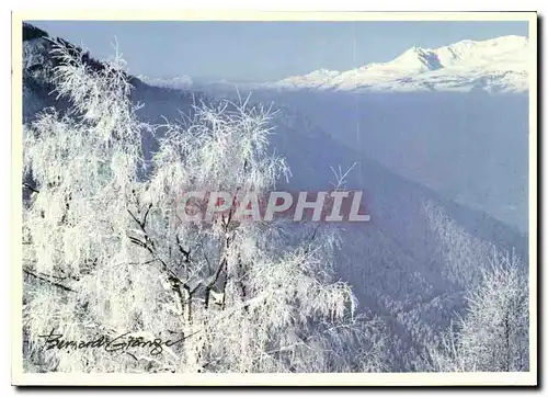 Moderne Karte Arbre sous la neige