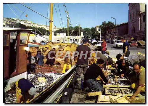 Cartes postales moderne Retour de peche en Mediterranee les sardines mises en boites