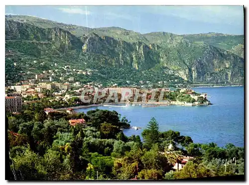 Cartes postales moderne Couleurs et lumiere de France la Cote d'Azur miracle de la nature Beaulieu sur Mer A M Oasis de