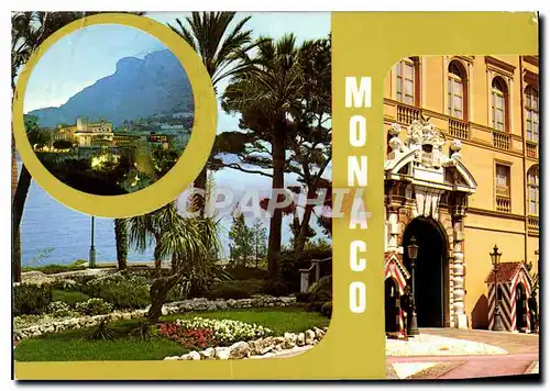 Cartes postales moderne Au Soleil de la Cote d'Azur Monaco Le Palais Princier vue des Jardins Entree du Palais Princier