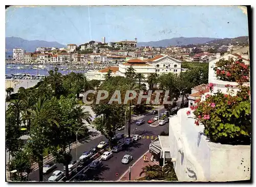 Cartes postales moderne La Cote d'Azur Cannes vue sur le Port et le Suquet