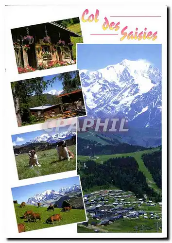 Cartes postales moderne Savoie France Vallee du Beaufortain col des Saisies station dominee par le massif du Mont Blanc
