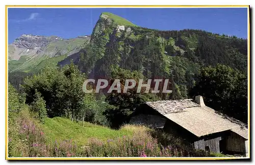 Moderne Karte Paysage de Savoie vieux chalet