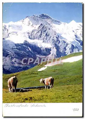 Cartes postales moderne Farbenfrohe Schweiz