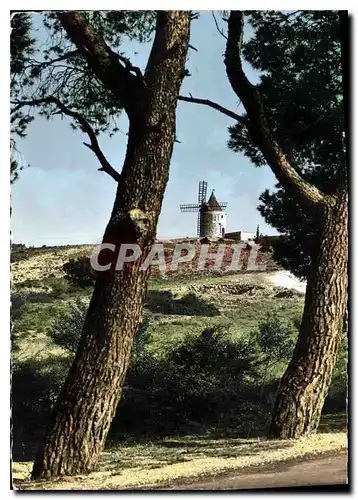 Moderne Karte Provence le Moulin de Daudet