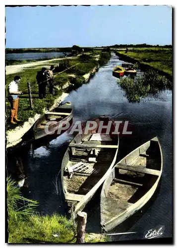 Cartes postales moderne La Briere Loire Atlantique Paysage