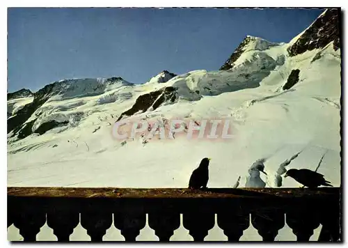 Cartes postales moderne Jungfraujoch mit Rottalhorn