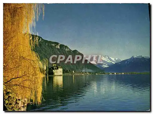 Cartes postales moderne Chateau de Chillon et Dents du Midi