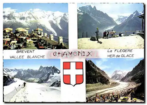 Cartes postales moderne Chamonix Mont Blanc le Mont Blanc vu de Planpraz la Verte le Dru la Mer de Glace et les Jorasses
