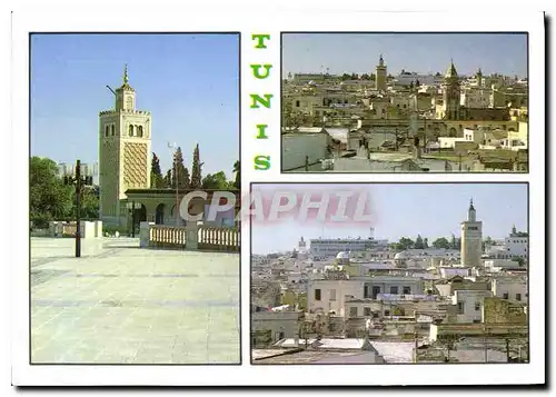 Cartes postales moderne Medina de Tunis