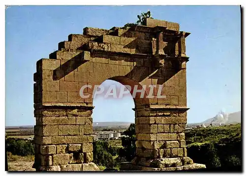 Cartes postales moderne Kasserine Roman Ruin