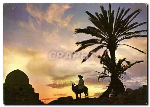 Cartes postales moderne Tunisie de Toujours Coucher de soleil