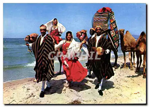 Cartes postales moderne Tunisie Un mariage