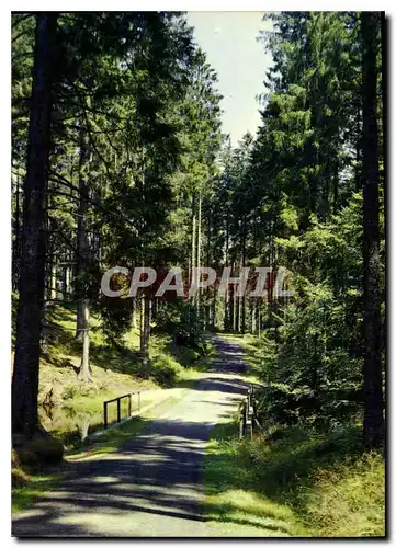 Moderne Karte le Morvan Touristique Route du Haut Polin