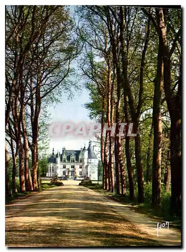 Cartes postales moderne Couleurs et Lumiere de France le Val de Loire Chenonceaux Magnifique allee conduisant au Chateau