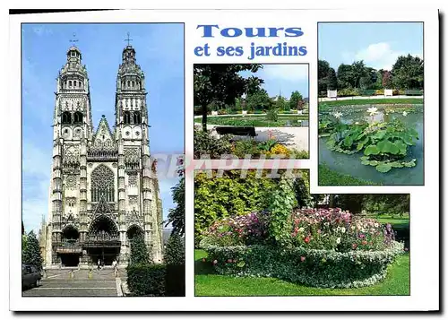 Cartes postales moderne Tours Indre et Loire la Cathedrale Saint Gatien Tours et ses Jardins