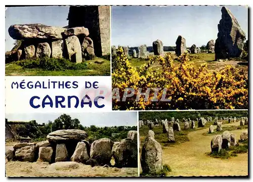 Cartes postales moderne La Bretagne en Couleurs Carnac Morbihan Celebre par ses alignements du Menec et de Kermario