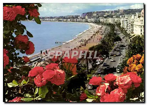 Cartes postales moderne La Cote d'Azur Inoubliable Nice