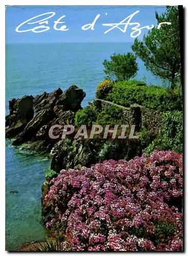 Moderne Karte Cote D'Azur Bord de mer