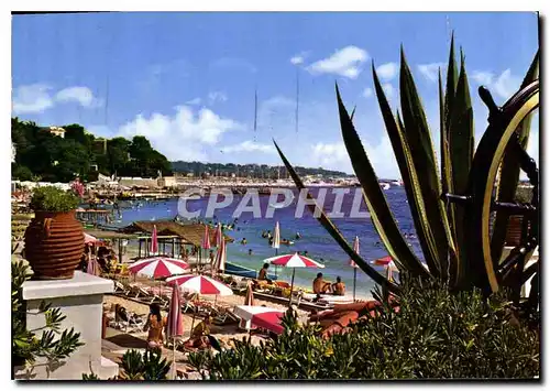 Cartes postales moderne Juan les Pins Vue sur le Port de Plaisance prise de la terrasse du Casino Municipal Dans le fond