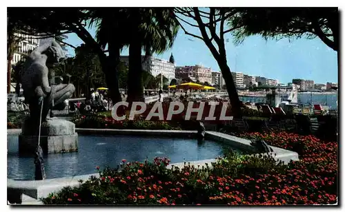 Cartes postales moderne Cote d'Azur Cannes Les Jardins et les hotels