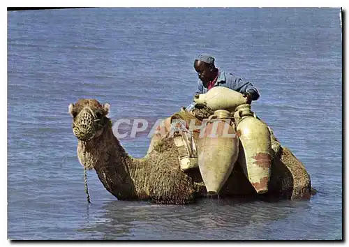 Cartes postales moderne Djerba Ce uest par la mer a boire