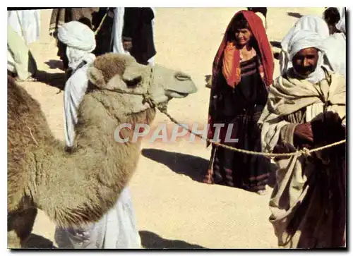 Cartes postales moderne Sud Tunisien le marche