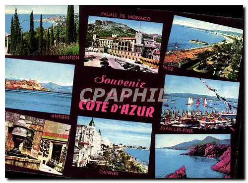 Cartes postales moderne Souvenir de la Cote d'Azur