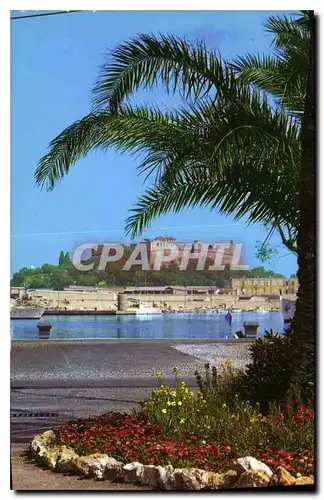 Cartes postales moderne Antibes Un coin du nouveau Port et le Fort Carre