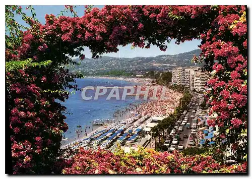 Moderne Karte Juan les Pins L'Avenue Guillaumont et la plage