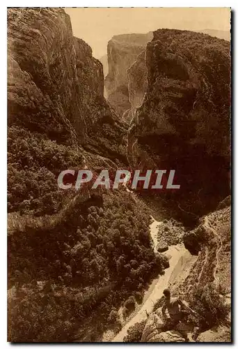 Cartes postales moderne Les Gorges du Verdon L'Entree du Grand Cafion au Point Sublime