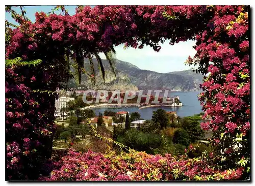 Cartes postales moderne Beaulieu sur Mer La Baie et la Villa Kerylos