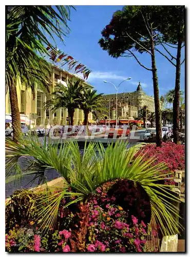 Cartes postales moderne Cannes Alpes Maritimes La Croisette le Palais du Festival et le Carlton