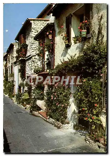 Cartes postales moderne Cote d'Azur Provence et ses vieilles rues fleuries