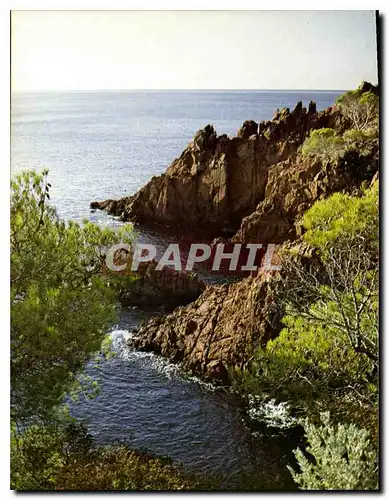 Cartes postales moderne L'Esterel Alpes Maritimes Les Roches rouges