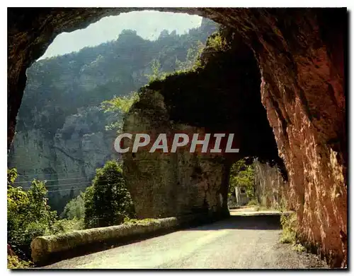 Cartes postales moderne Les Gorges du Tarn Tarn La route pittoresque des Gorges