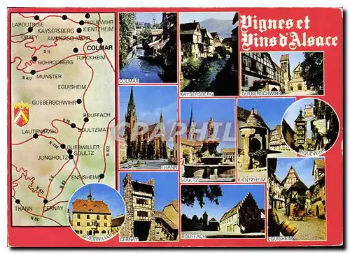 Cartes postales moderne Vignes et Vins d'Alsace