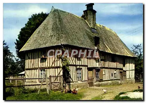 Cartes postales moderne Chaumiere Normande