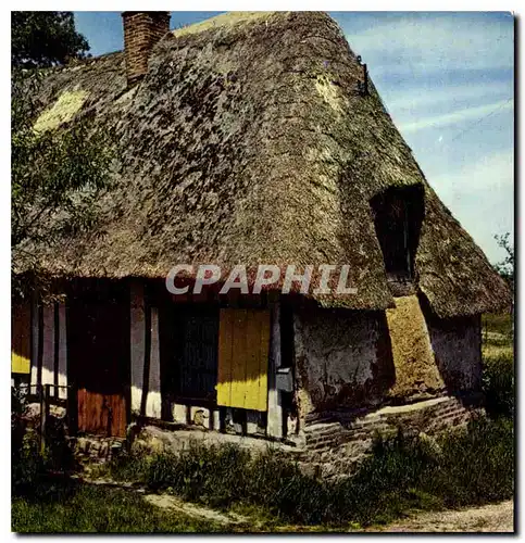 Cartes postales moderne Charmes et couleurs de la Normandie Chaumiere Normande