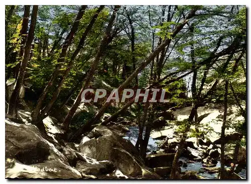 Cartes postales moderne La Vallee de Chevreuse Yvelines Aux Vaux de Cernay