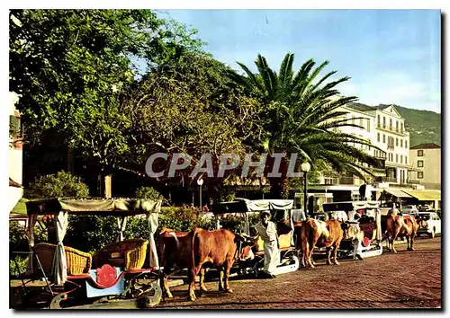 Cartes postales moderne Funchal Madeira Carro de bois
