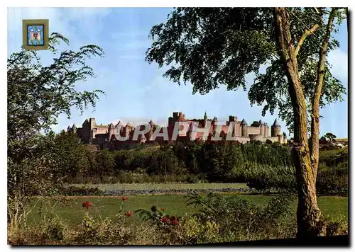 Cartes postales moderne Arts et Couleurs de l'Aude Carcassonne Vue generale Cote Sud