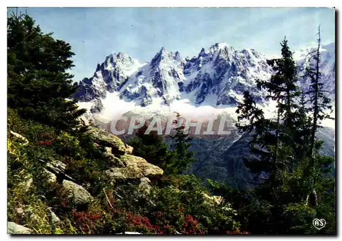 Cartes postales moderne Chamonix Mont Blanc Aiguille de Chamonix vue de Planpraz