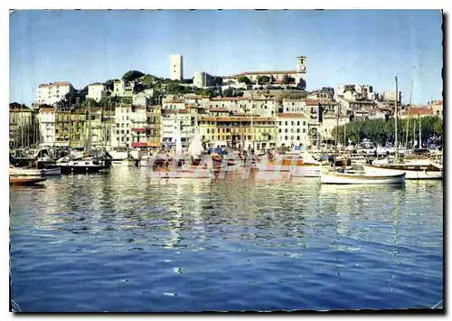 Cartes postales moderne Cannes Le Suquet